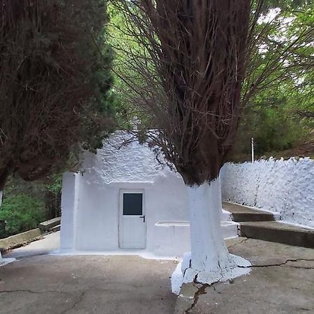 Small Traditional House In Asfendiou Kos Agios Dimitrios  Zewnętrze zdjęcie